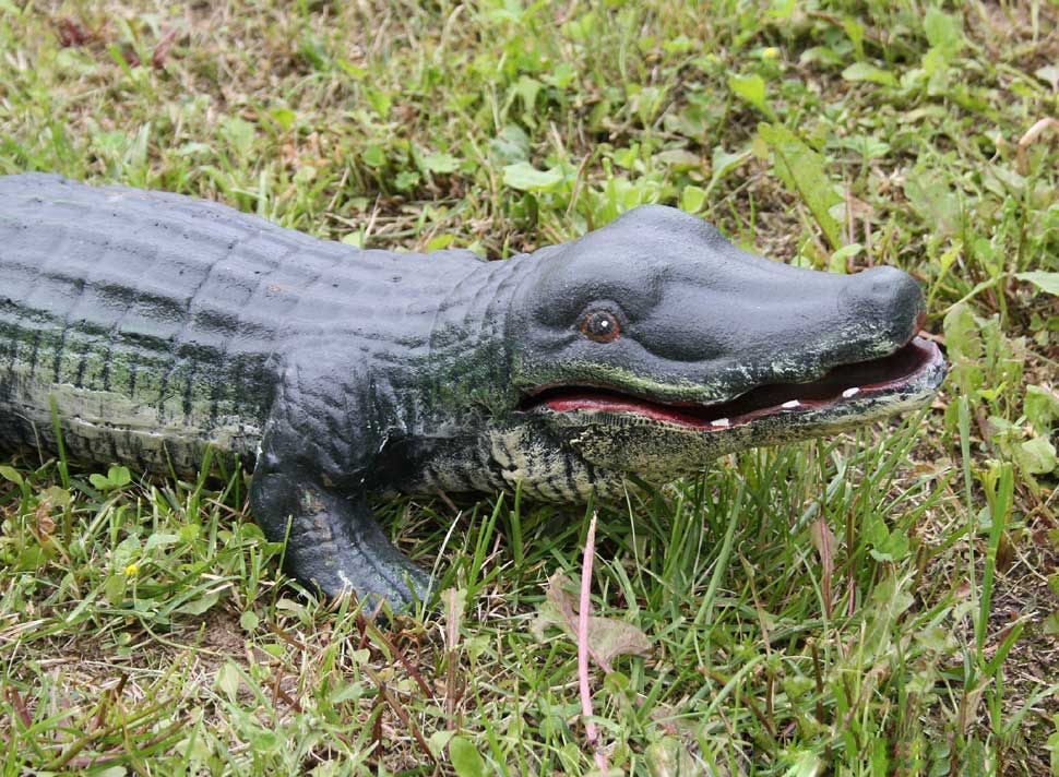 Krokodil Figur Gartenfigur Gusseisen Skulptur Alligator Teich Garten Afrika 75cm