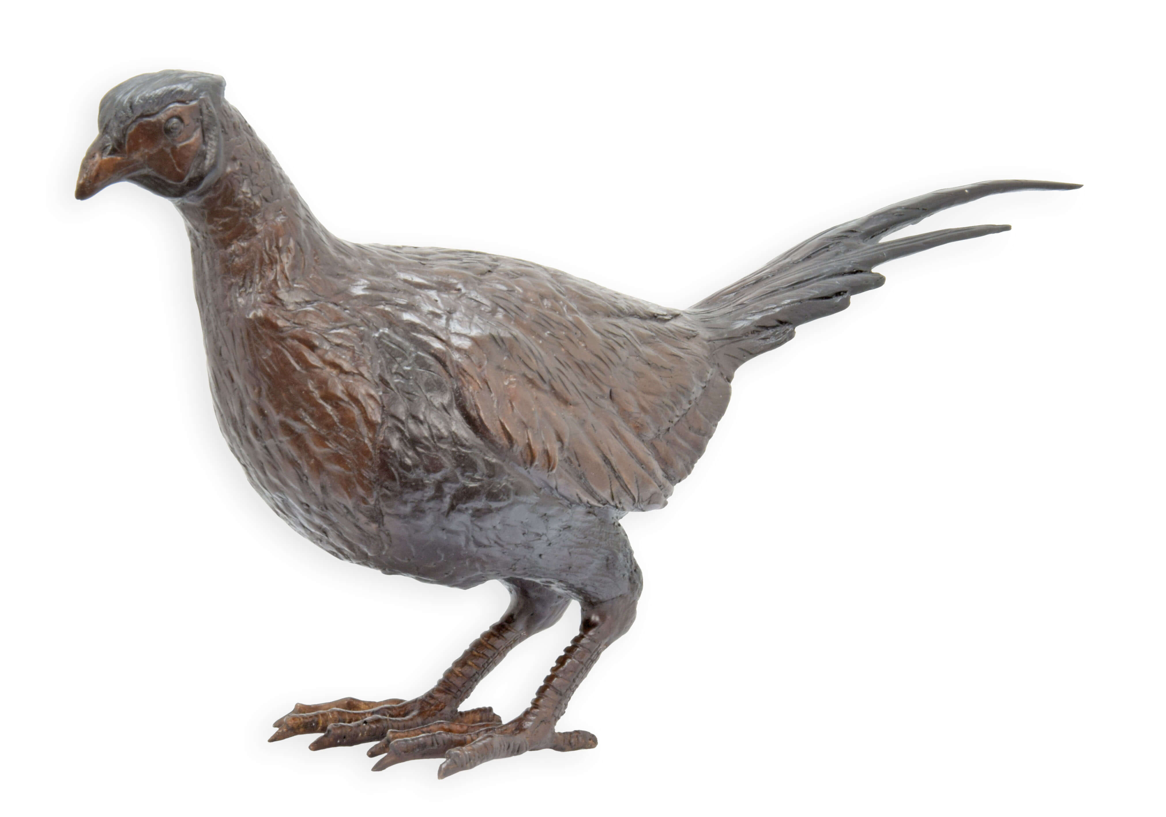 Tier, Vogel, Rebhuhn