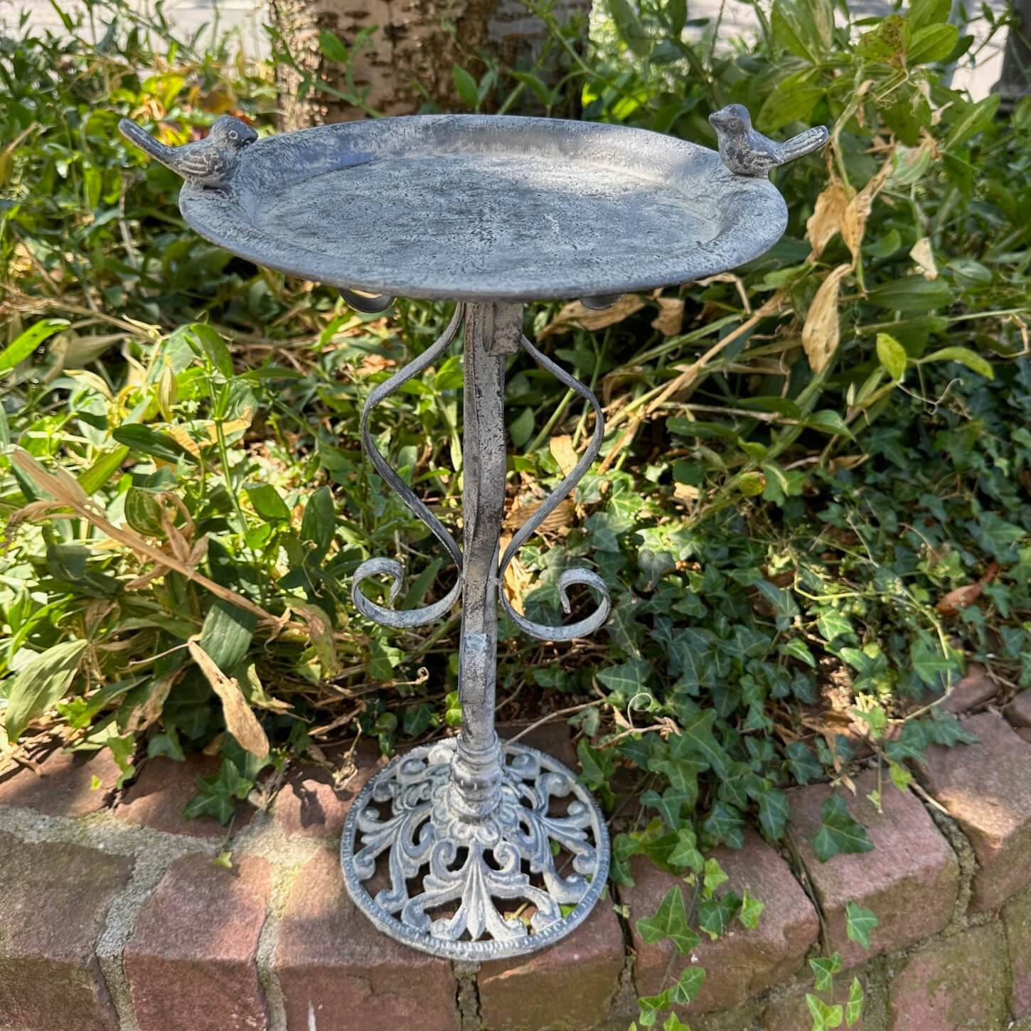 Bain oiseau abreuvoir pour oiseaux pour jardin métal gris style antique 44cm