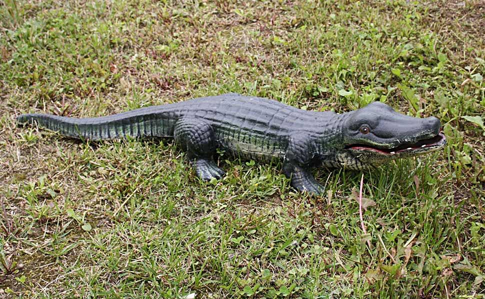 Krokodil Figur Gartenfigur Gusseisen Skulptur Alligator Teich Garten Afrika 75cm